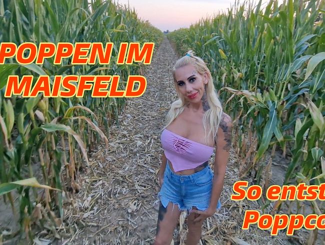 Poppen im Maisfeld, so entsteht Poppcorn